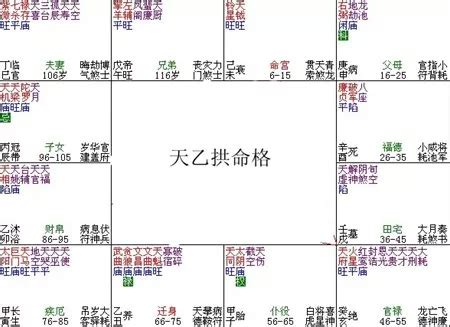 紫微斗數富貴格局|紫微斗數富貴格局——天乙拱命格